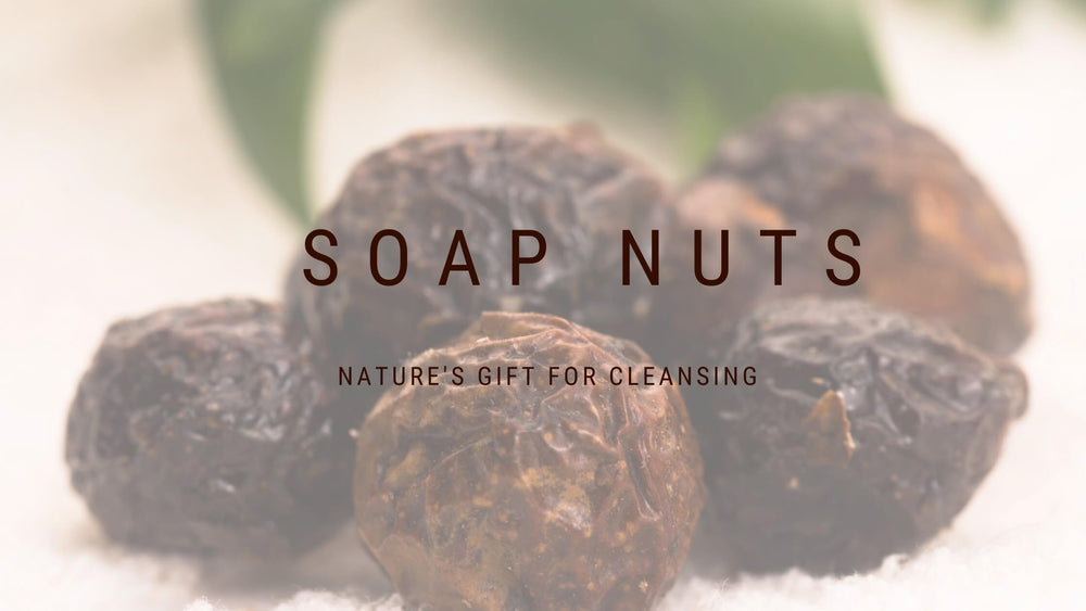 What is Soap Nuts?